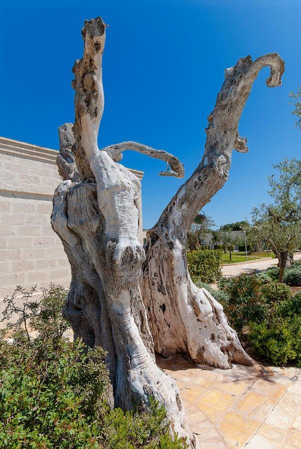 Masseria Torre Del Diamante Torre Canne Exterior photo