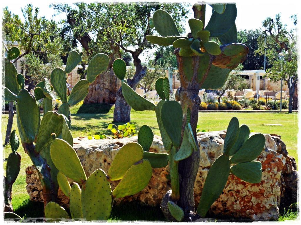 Masseria Torre Del Diamante Torre Canne Exterior photo